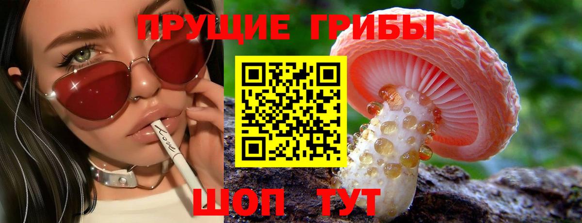 Галлюциногенные грибы Psilocybine cubensis  Вход с VPN  Псилоцибиновые грибы ЛСД  Жигулёвск 
